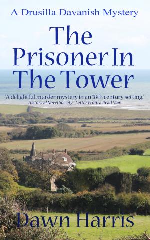 Prisoner_in_tower_kindle_cover_5.jpg